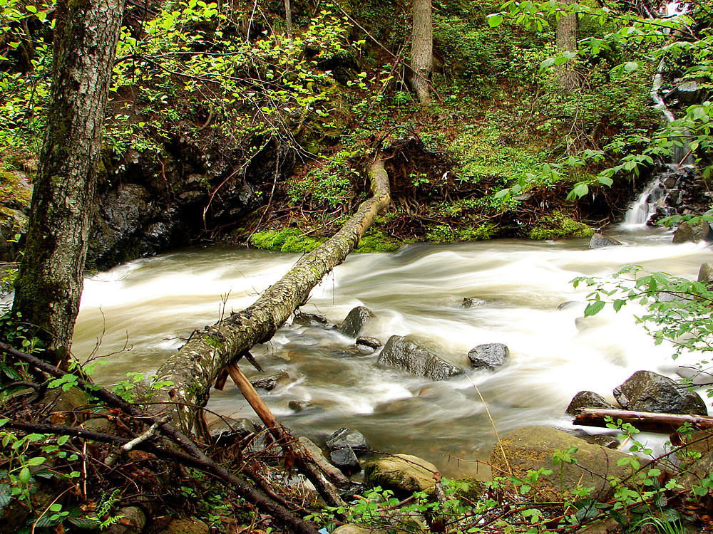 Wandern im Bayerischen Wald